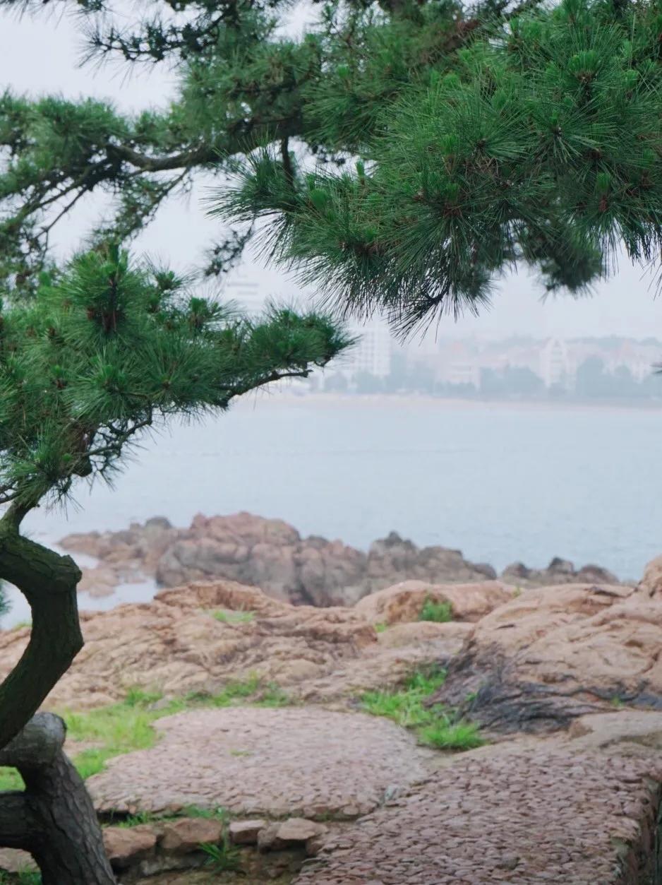 青岛有海风吹过的夏天,青岛夏日海风
