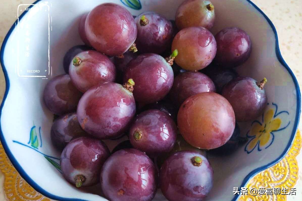 葡萄怎样洗得干净又好吃,立秋后葡萄怎么用磷酸二氢钾