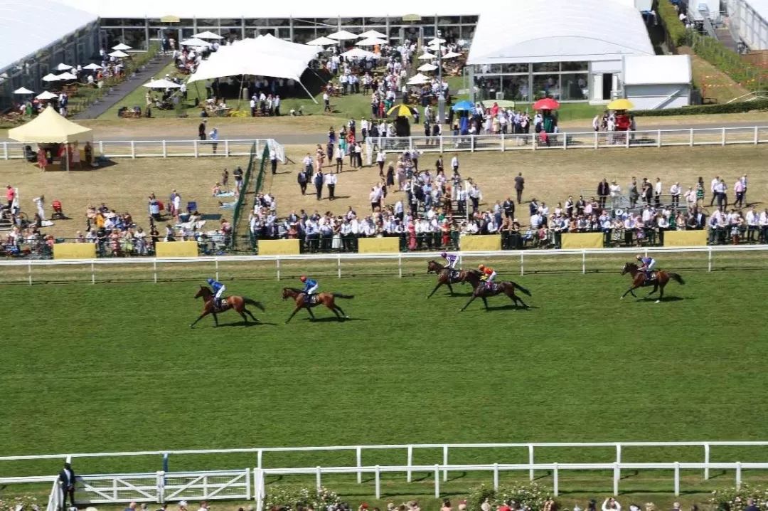 去伦敦留学,伦敦短期游学