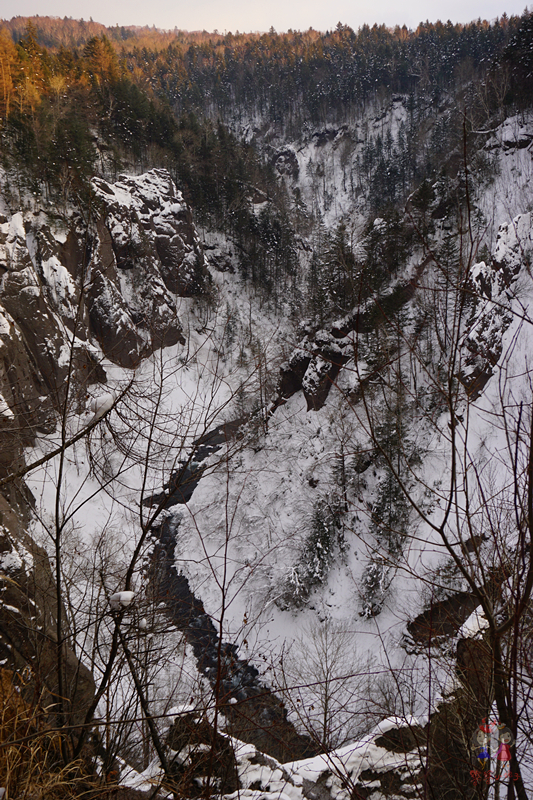 冬季旅游好去处排行榜不看雪,林海雪原旅游景区