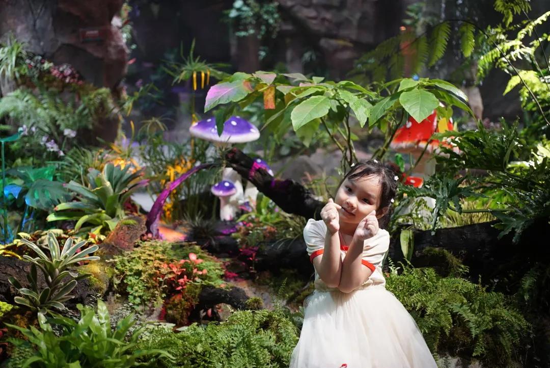 占地30000㎡！这艘建在安华汇天台上的巨船，竟是亲子乐园