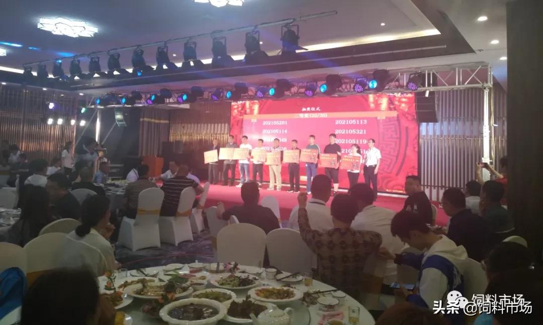 山东活力集团青岛,活力集团新品发布会