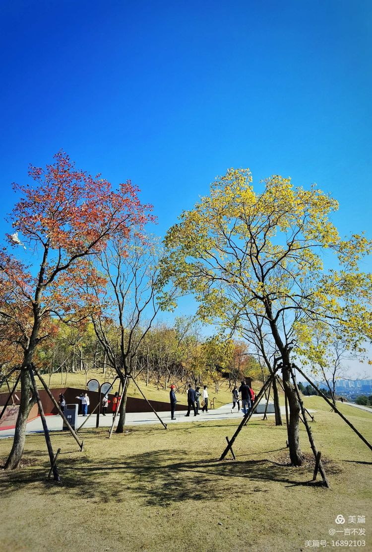 南京园博园时光亦谷游玩攻略路线,紫清湖和园博园哪个值得一去