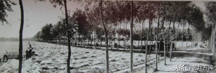 五十年代至七十年代人民公社,6070年代人民公社