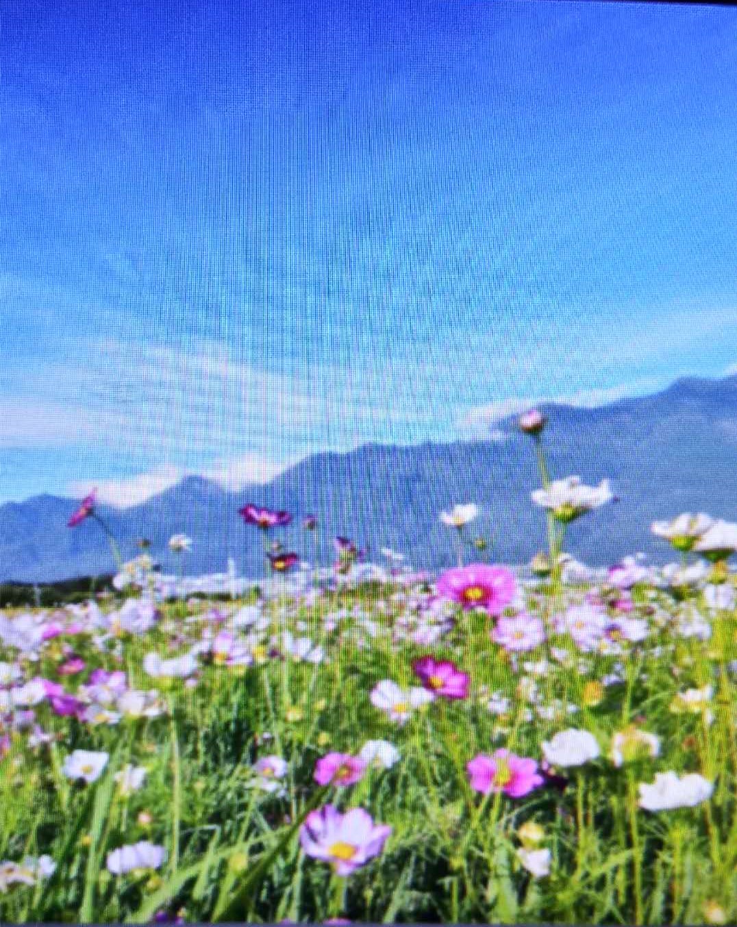 兵临城下24,兵临城下23