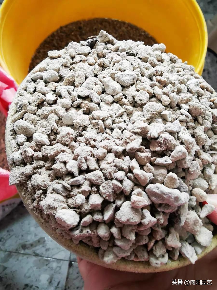 火山浮石日本,日本火山浮石