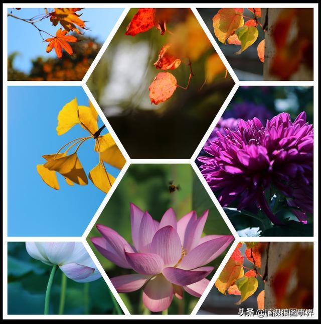 2023专业摄影修图软件,手机摄影后期修图app