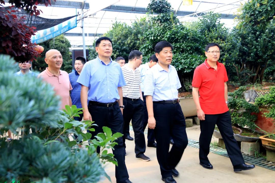 宿迁市沭阳县沭阳国际花木城,沭阳国际花木城布局