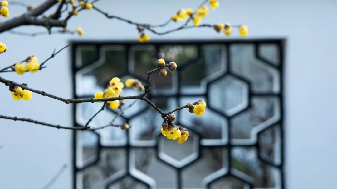 鼻痒咽痒咳嗽,过敏经常反复鼻眼痒