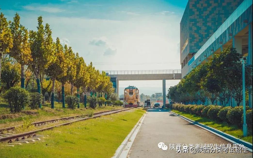 汽车领域黄埔|西安汽车职业大学