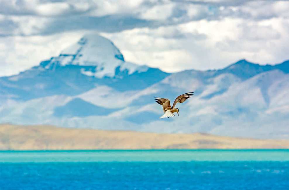 大自然摄影作品拍摄技巧,摄影爱好者拍摄大自然的美