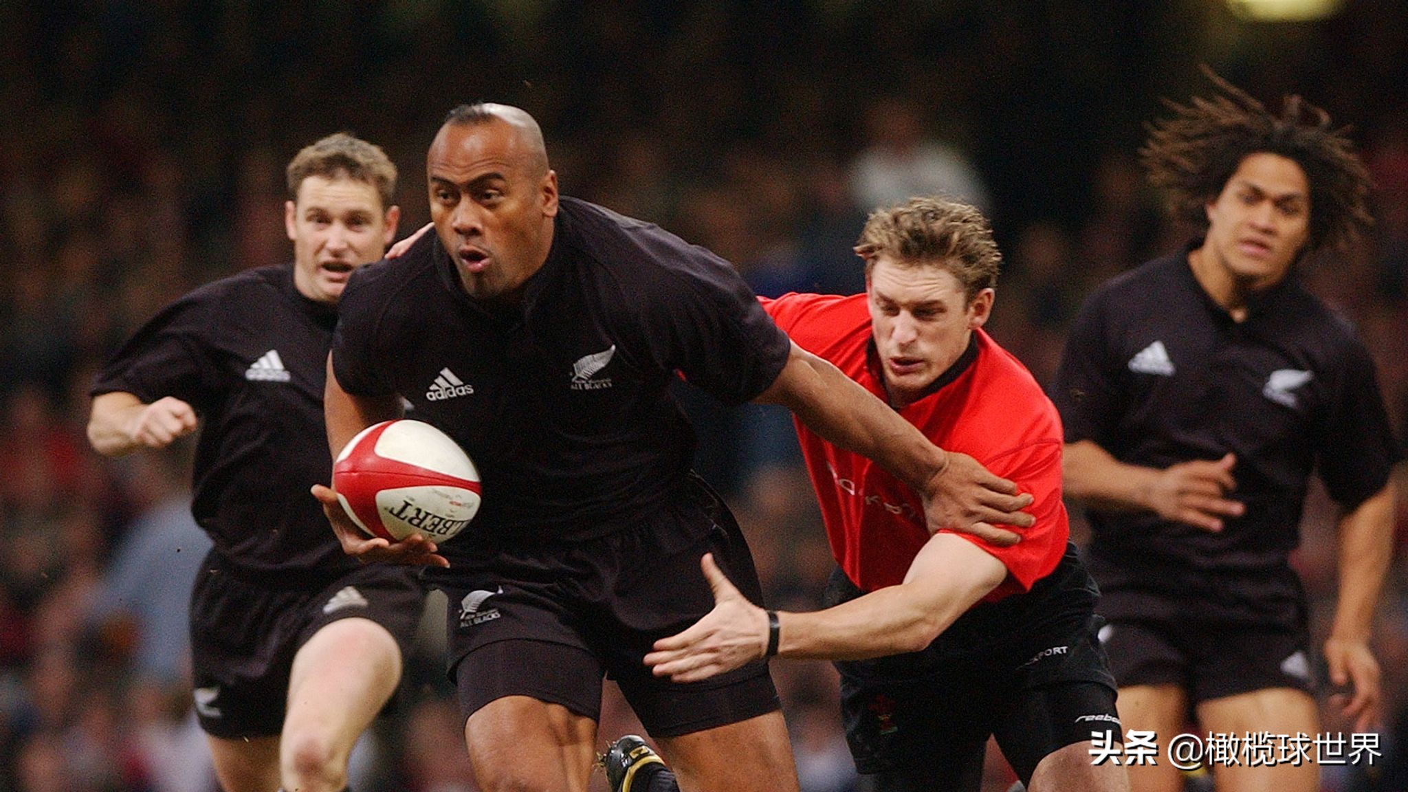 致敬罗莽,致敬罗慕洛