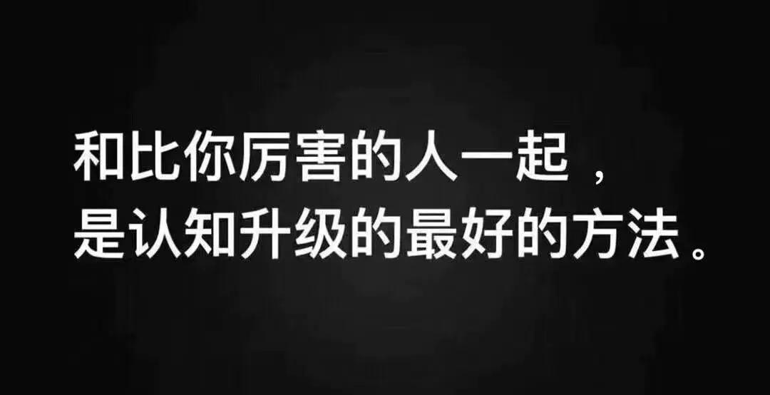 张萌创业的最佳方向,张萌创业的启发