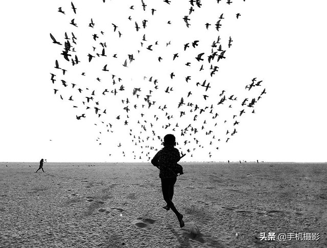 ippa摄影大赛年度总冠军,ippa摄影大赛2014