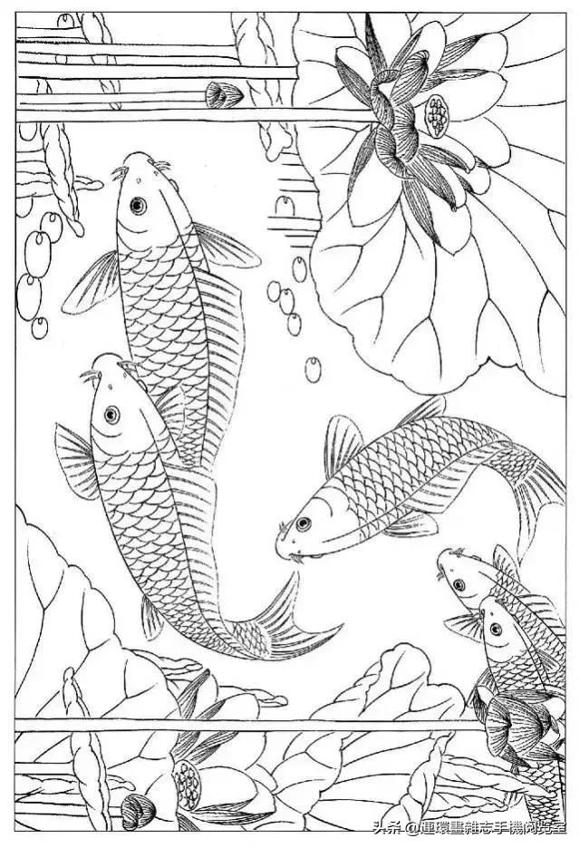 古诗十九首全文及注释,古诗十九首原文及译文