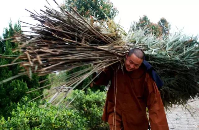 农禅并重的意义,农禅并重的寺院