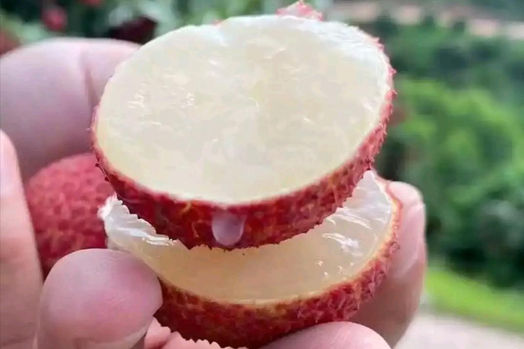 荔枝降价原因,没有核的荔枝多少钱一斤