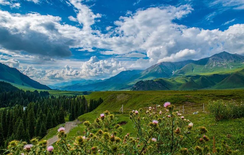 大美新疆伊犁草原,新疆美丽的伊犁草原