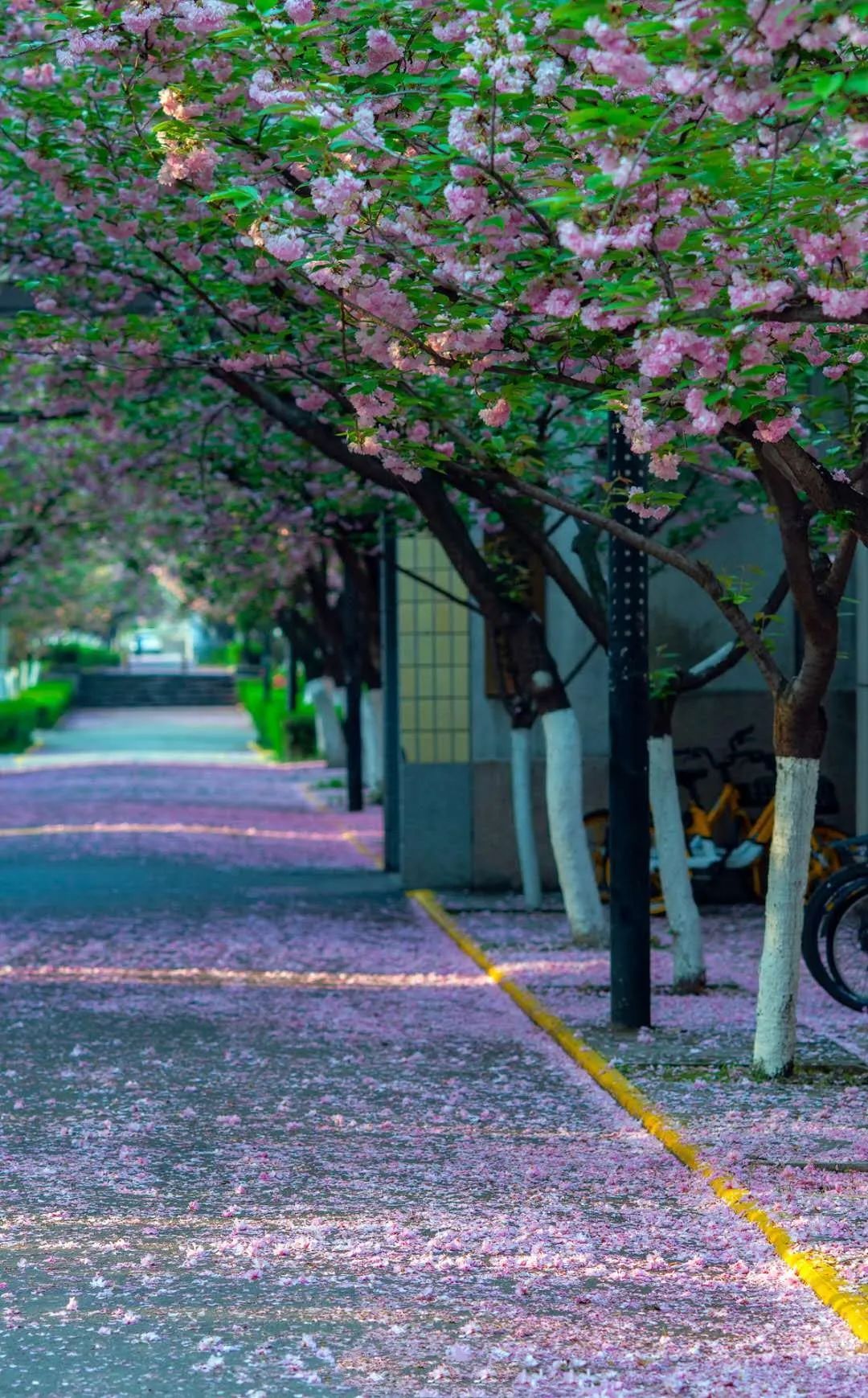 千万不要来西安读大学！别怪我没提醒你！