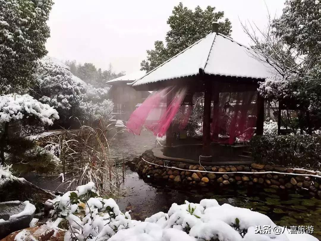 东阿阿胶泡温泉,阿胶温泉