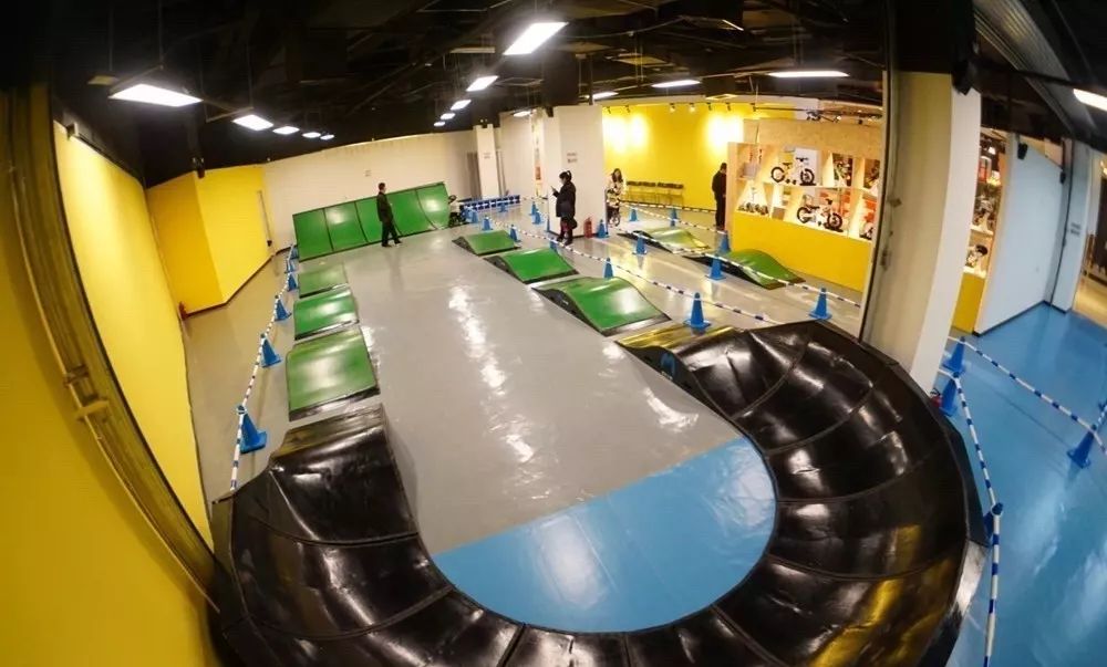 实体店最贵的平衡车 (实体店的平衡车好吗)