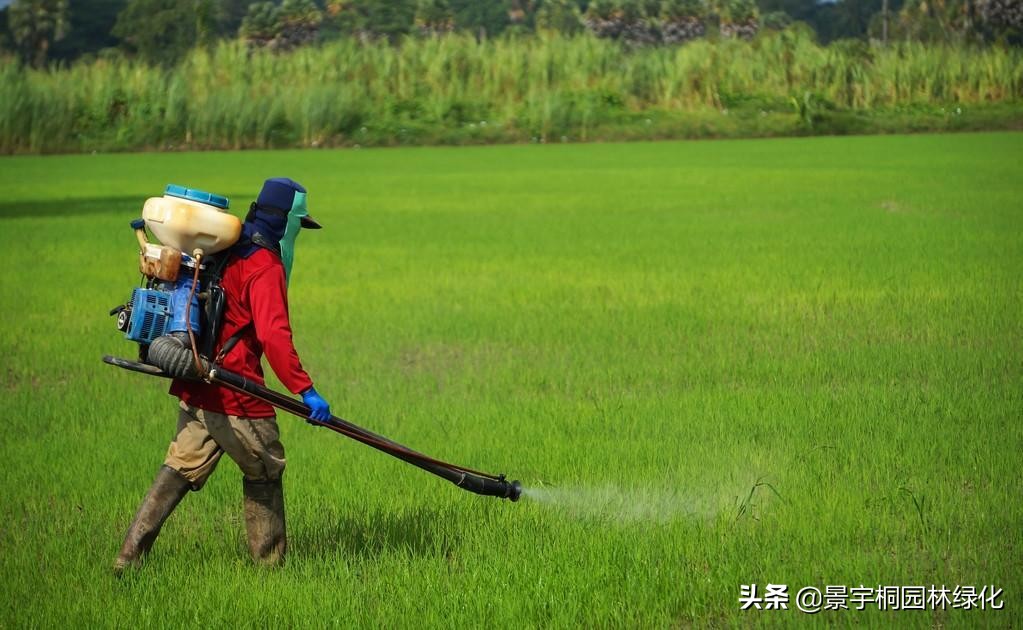 园林绿化养护精细化管理,园林绿化养护好的做法