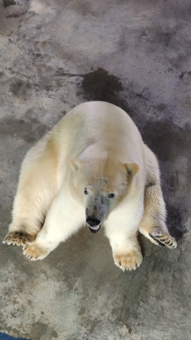 福州欧乐堡海洋世界家庭套票团购,福州欧乐堡海洋世界门票价格