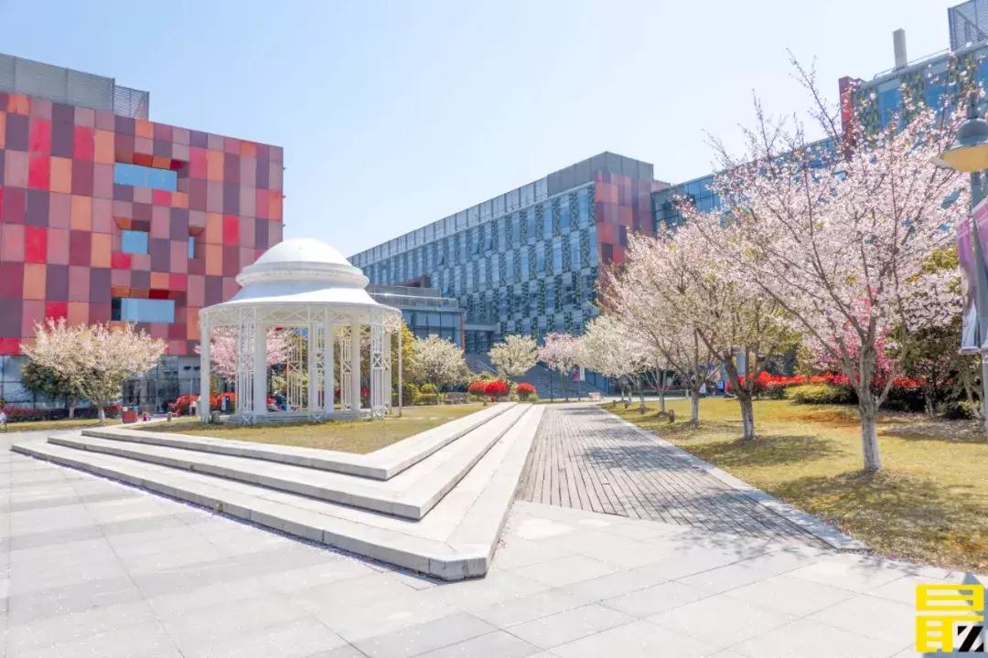 西交利物浦苏州校区,苏州西交利物浦美女