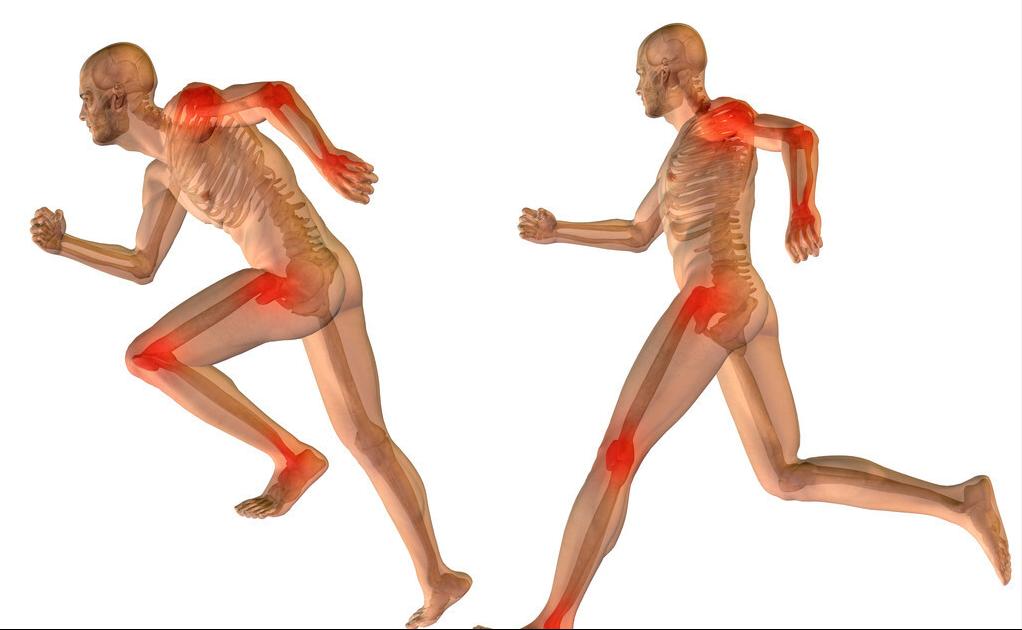 狗脊治腰痛实例,狗脊治腰腿疼的最佳方法