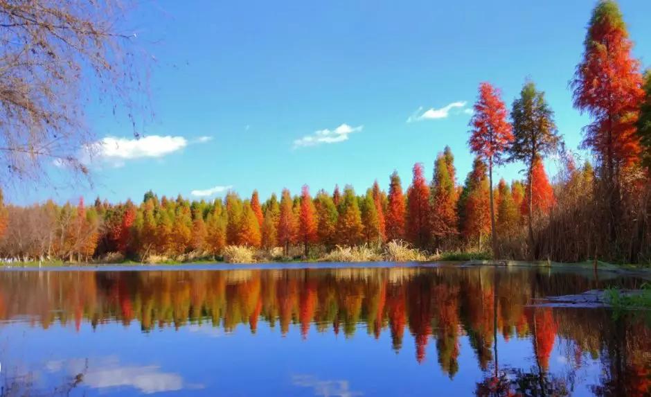 成都怎么过冬的,成都人冬天喜欢去哪过冬