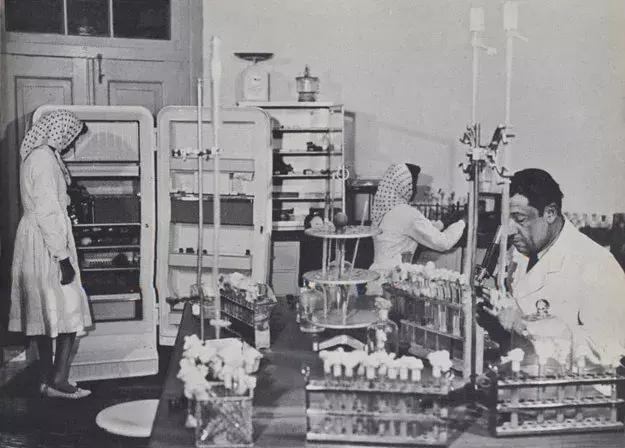 食品工业的历史,食品工业葡萄糖