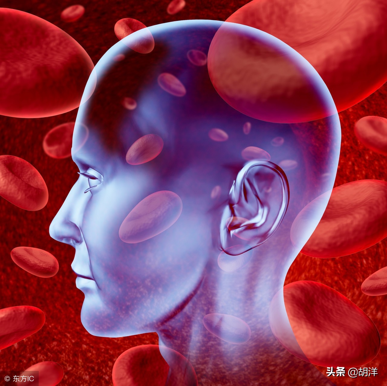 头晕目眩不能动该怎么办,头晕不吃药最简单的恢复方法