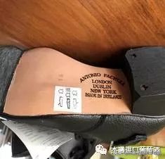 老鸟小鸟和爱尔兰舞——老鸟