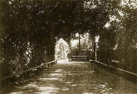 呼啸山庄艾米莉勃朗特诞辰200周年,艾米莉勃朗特在哪创作了呼啸山庄