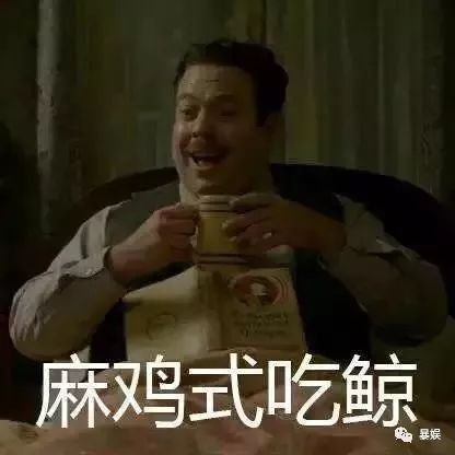 所谓哈迷的狂欢不过是失望之极下的*慰自**｜影评