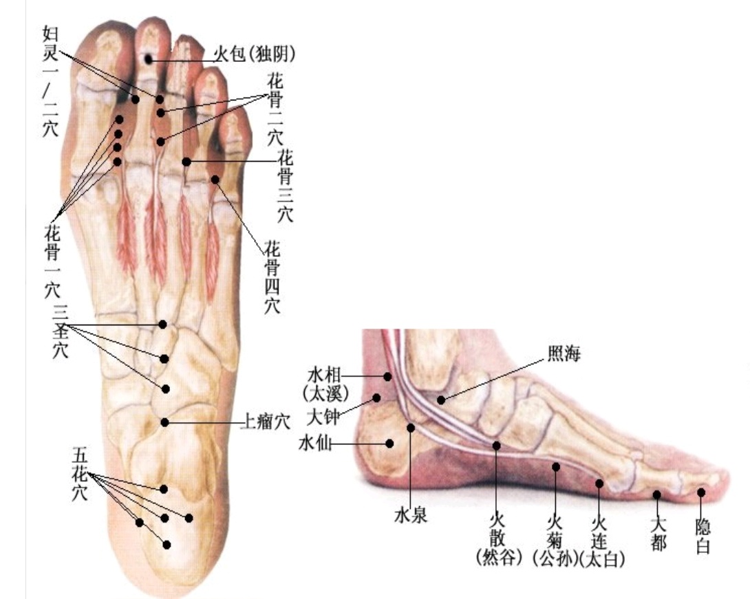 每日一学——学点董穴（1）