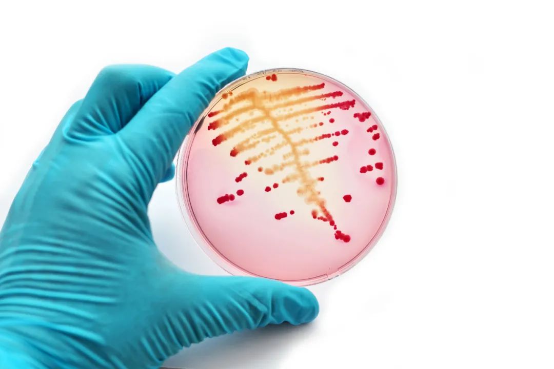 HPV感染会致癌吗？宫颈糜烂要治疗吗？一文解答你的所有疑问