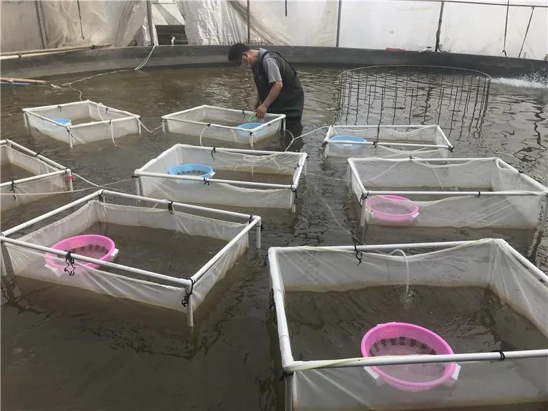 200万吨蔬菜驰援,驰援湖北漳浦18吨爱心蔬菜在路上