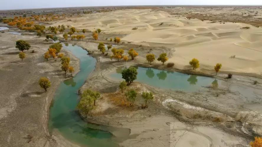 冬天的阿勒泰冰雪,冬天的雪冰雪奇缘