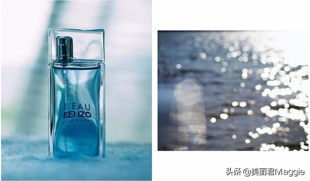 maggie的美丽日记 (maggie的美丽物语真实感受)