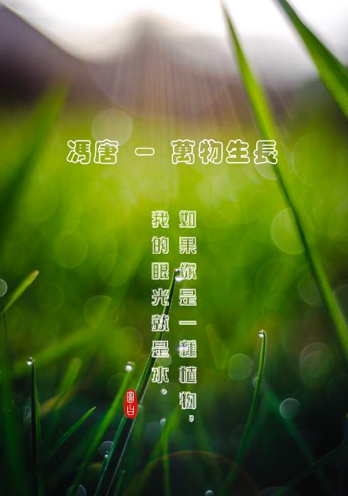 教你如何制作壁纸,自制壁纸教程不用白色底图