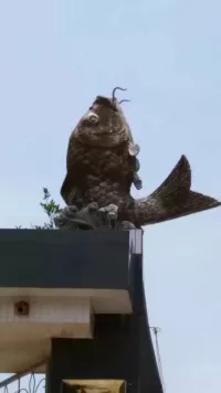 西塘中学怎么样,西塘镇西塘中学简介