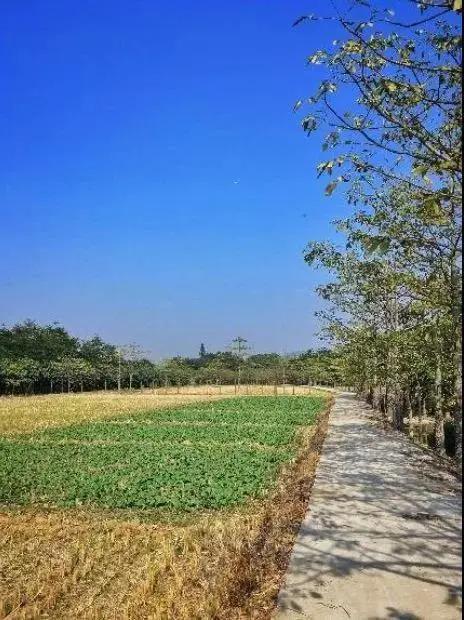 珠海市静美古村落,珠海古村落哪个最好玩