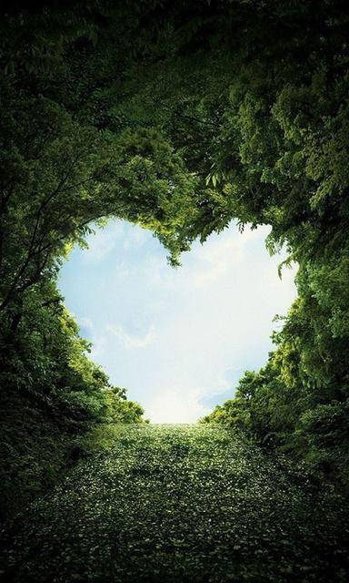 初一娘娘十五官的解释,初一娘娘十五官是什么意思