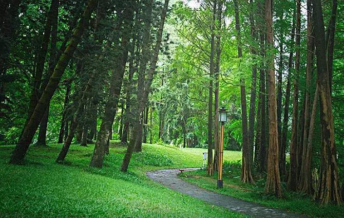 广州地铁一日游攻略情侣,广州地铁一日游最佳路线图