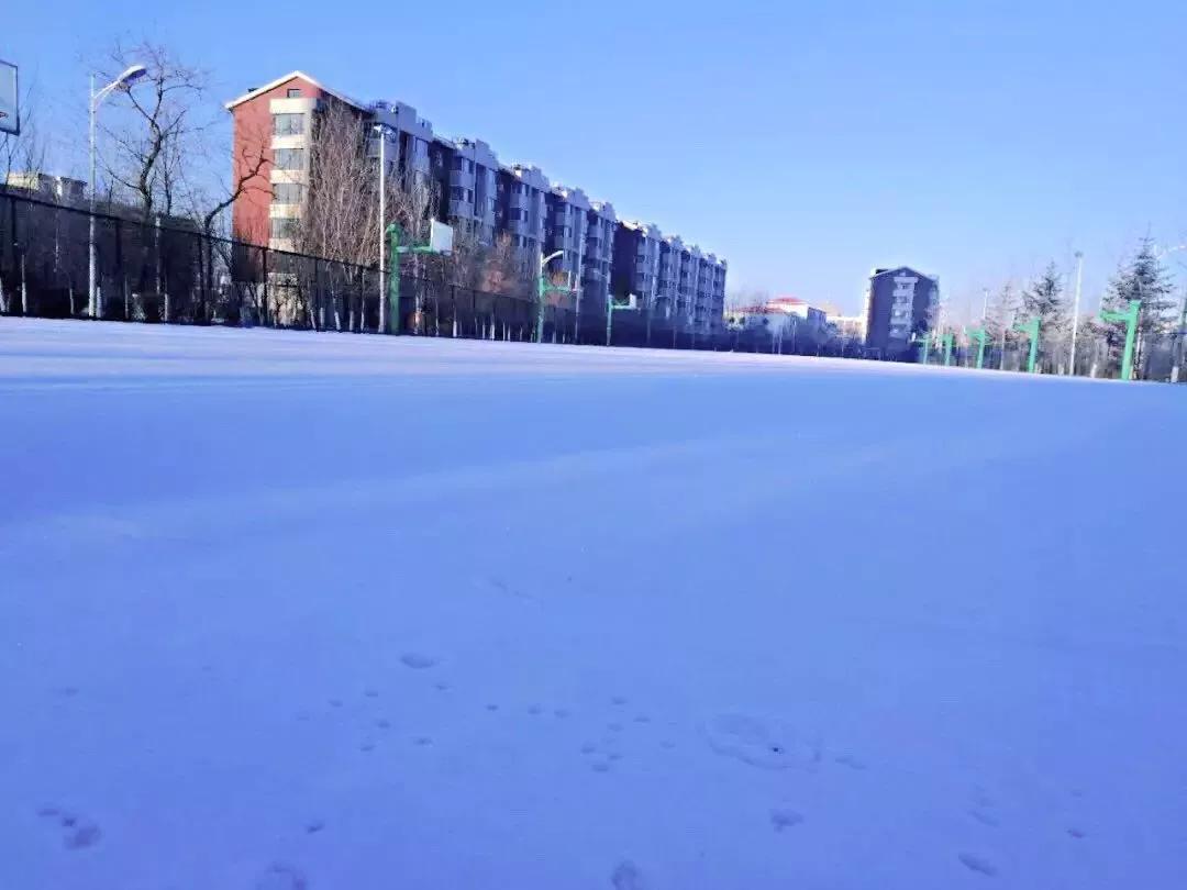 辽宁中医药大学杏林学院独立学院,辽宁中医药大学三个校区