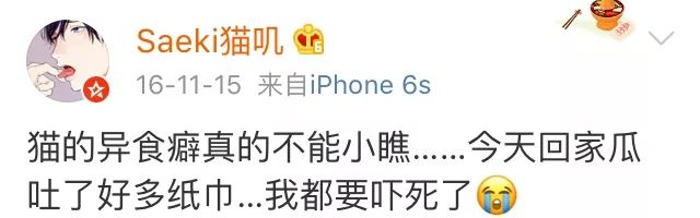 训练猫时可以给猫吃什么,训练猫捕食