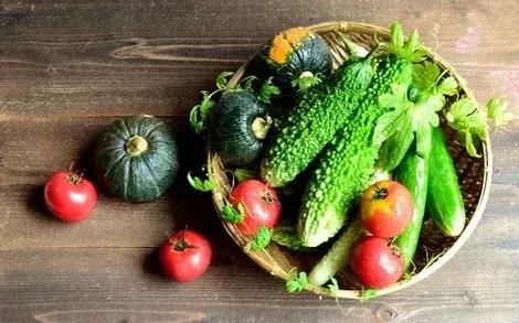 今日立夏绿荫遍野风暖昼长,立夏绿意浓浓