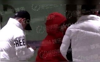 袁姗姗张家界莓茶,袁姗姗茶艺大师