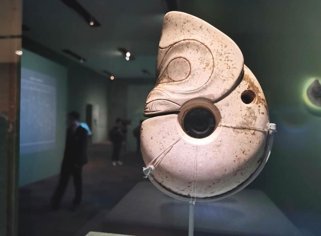 沈阳市新闻12月5日,沈阳新闻15日微博